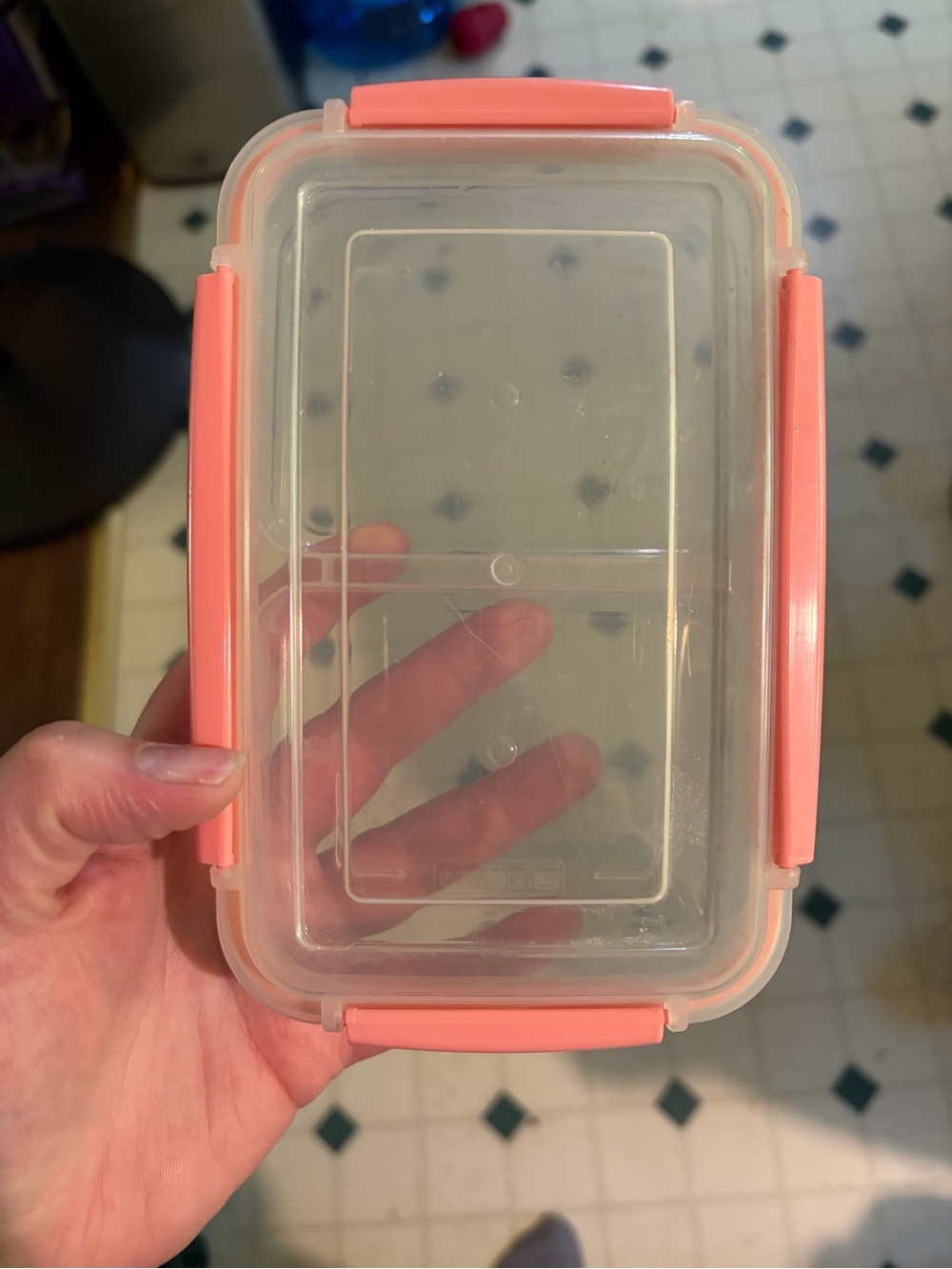 Lunch Containers - Picture 4 of 6